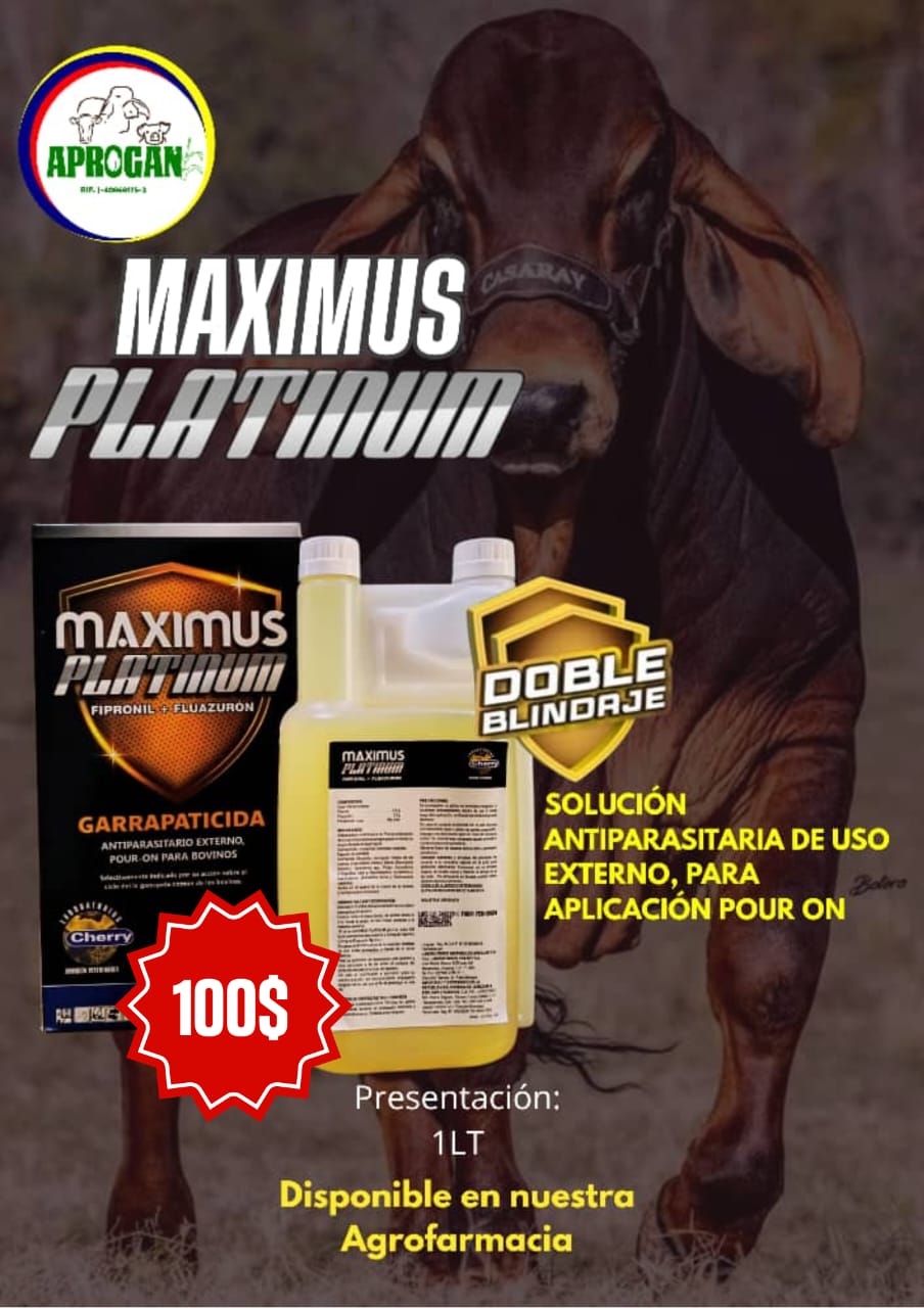 MAXIMUS PLATINUM X 1 LT